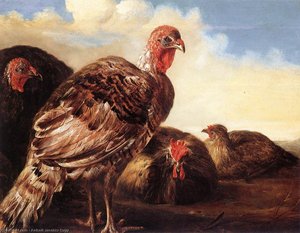 Domestic Fowl — Aelbert Jacobsz Cuyp