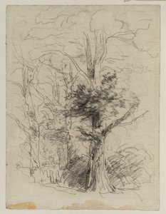 Trees — David Cox
