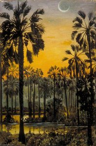 Palmyra Palms In Flood Time — Marianne North