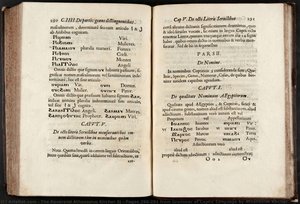 Pages 290-291 from Grammar of Coptic Language by Athanasius Kircher