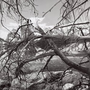 Grand Teton National Park, Wyoming — Lee Friedlander