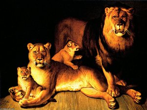 A Pride Of Lions