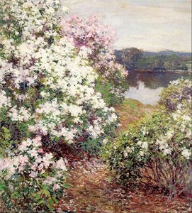 Mountain Laurel — Willard Leroy Metcalf