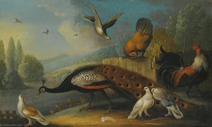 A Still Life With A Peacock, Pigeons And Chickens In A River Landscape — Marmaduke Cradock