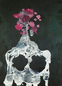 The Vertebrate Grotto - Transfer Series, 1936 — Salvador Dalí