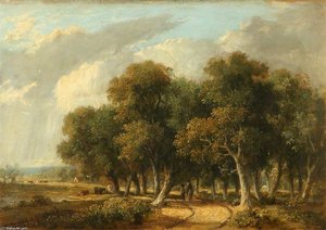 The Road Through A Wood — James Stark