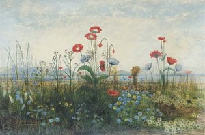 Poppies, Ox-eye Daisies And Dandelions At The Edge Of A Field — Andrew Nicholl