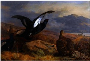 Black Grouse In A Highland Landscape With Red Deer In The Background — Archibald Thorburn
