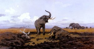 In The Twilgiht Elephants — Friedrich Wilhelm Kuhnert