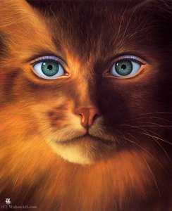 Cat Woman — Jim Warren