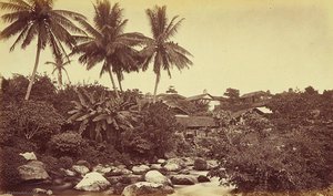 Suburbs Of Mazatenango, Guatemala — Eadweard J Muybridge