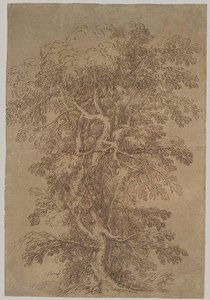 A Large Tree — Salvator Rosa