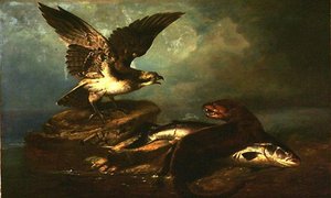 The Osprey And The Otter And The Salmon — John James Audubon