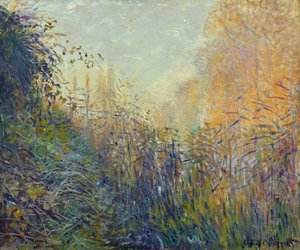 Study Rushes At Argenteuil — Claude Monet