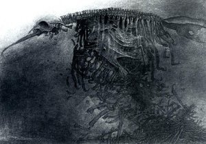 Untitled (350) — Zdislav Beksinski