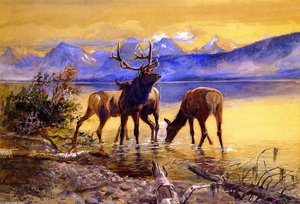 Elk In Lake Mcdonald — Charles Marion Russell