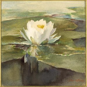 Water Lily In Sunlight — John La Farge