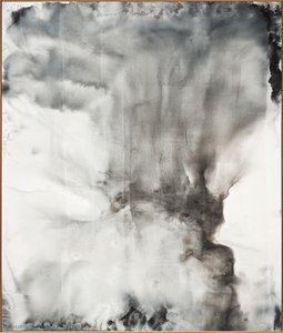 Mushboom — Paula Klien