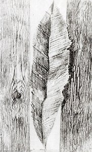 The Behavior Of Leaves — Max Ernst
