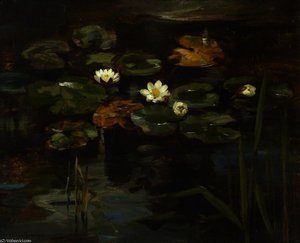 Water lilies