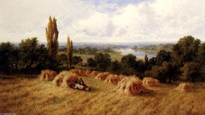 A Corn Field Chertsey On Thames Surrey — Henry Hillier Parker
