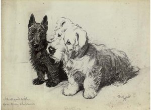 Greetings — Beatrice Parsons