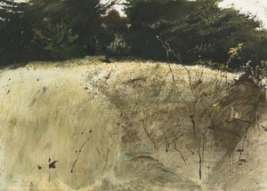 Fall Grasses — Andrew Newell Wyeth