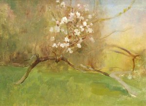 Cherry Blossom — Benjamin Haughton