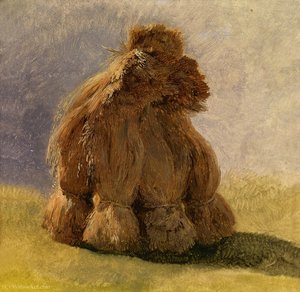 The sheaves of straw