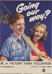 Going Our Way? — Anton Bruel