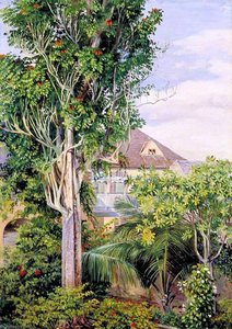 The Garden Of King's House, Spanish Town, Jamaica — Marianne North
