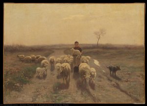 A Shepherdess and Her Flock