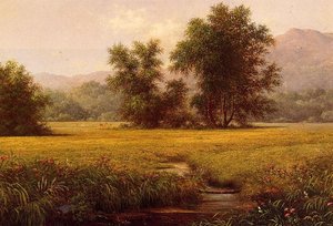 The Meadow — Martin Johnson Heade