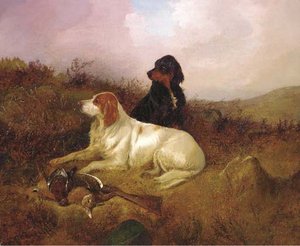 The Day's Bag - — Colin Graeme Roe