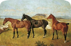 'whissendine', 'swallow' And 'tiptop' — George Paice