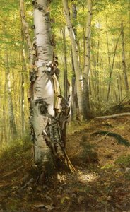 Silver Birches — John George Brown