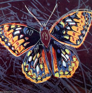 Motyl — Andy Warhol