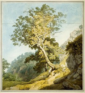 View Near Canonteign, Devon — John White Abbott