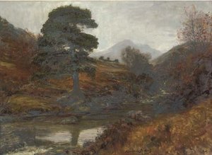 A Salmon Pool