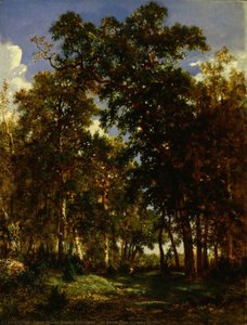 The Forest Floor (dessous De Bois) — Pierre Étienne Théodore Rousseau