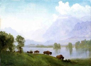 Buffalo Country — Albert Bierstadt