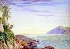 Looking Seaward From The Mouth Of St John's River, Kaffraria — Marianne North