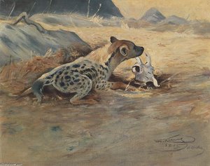 Hyäne Auf Der Lauer — Friedrich Wilhelm Kuhnert