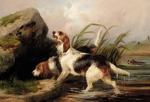 Otter Hounds On The Scent — Colin Graeme Roe
