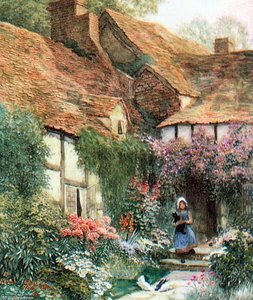 Girl With Cat And Doves