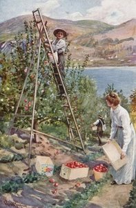 A Fruit Ranch At Nelson — Harold Copping, Illustration