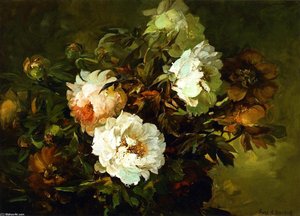 Peonies — Franz Bischoff
