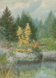 Reflections I — William Percy French