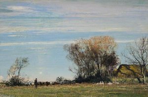 A Sunny Meadow
