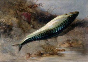 A Mackerel On The Seashore — Edward William Cooke